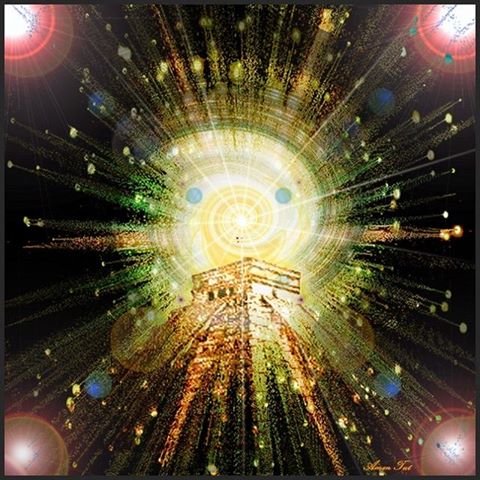 1238085_662584257099814_1271226986_n