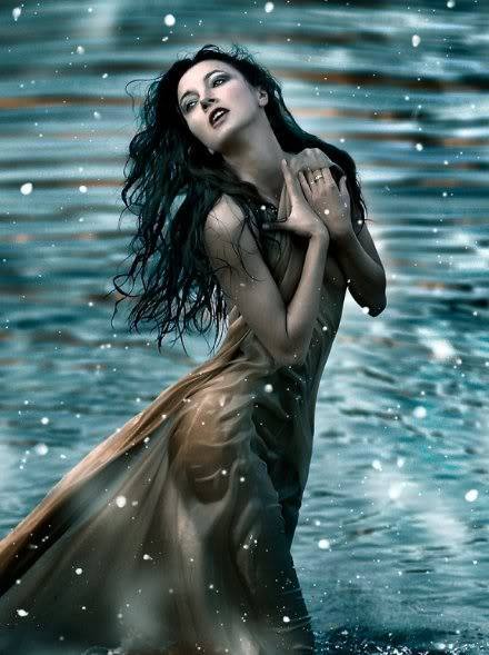 1390480_450793018362809_146404880_n