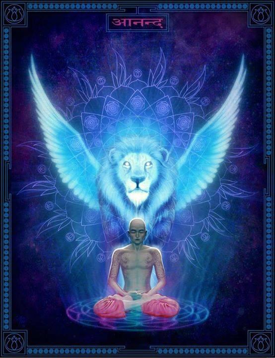 1391975_1429224067297802_959696089_n