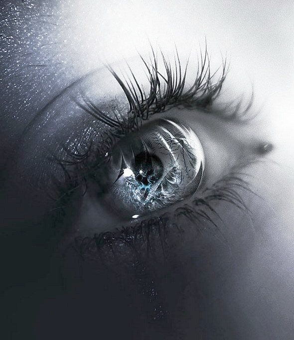 1450727_708084522558126_2004621916_n