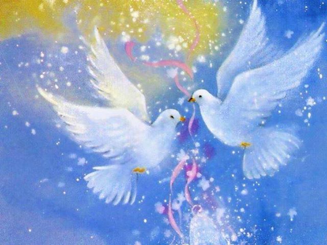 1459277_434894533299110_738265610_n