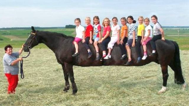 1519526_648271348569699_619770856_o