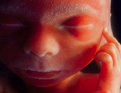 1521791_370091386461302_2007480781_n