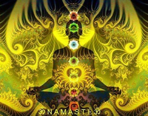 1526991_10151774674957411_815053628_n