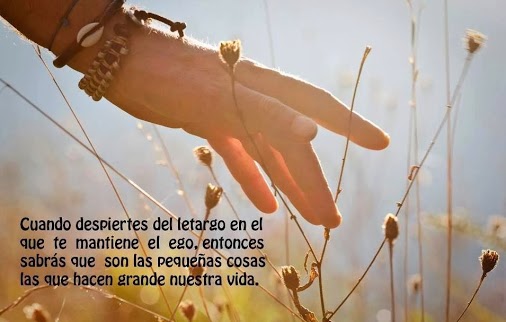 156968_627655430640006_1810663644_n