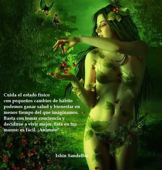 1620615_1423973127841561_586127848_n