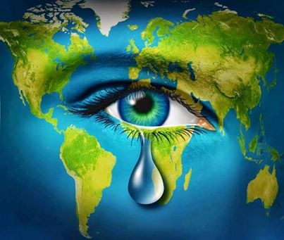 1620879_671149449590633_2067464648_n