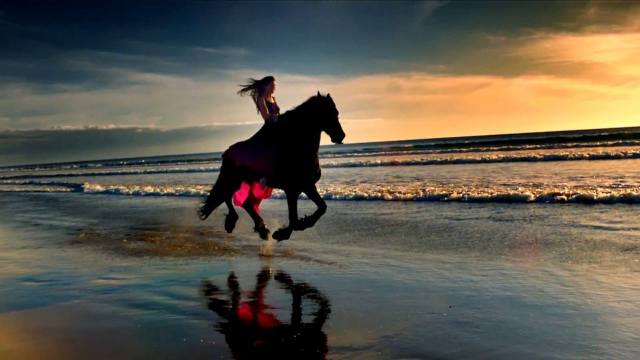 1655499_648263285237172_1040541935_o