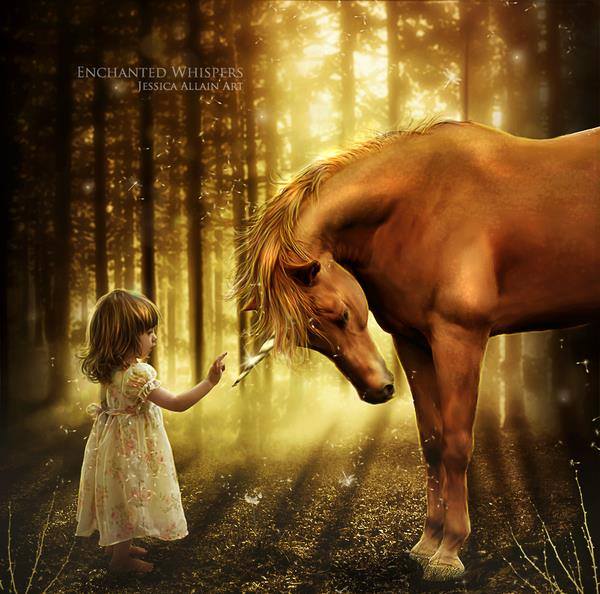 1782125_648269385236562_498612063_n