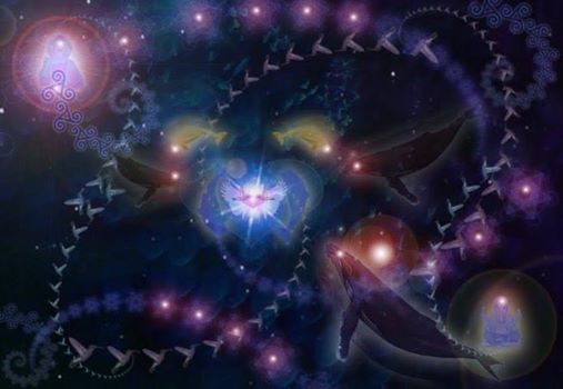 1898169_10151984846422898_1616128700_n