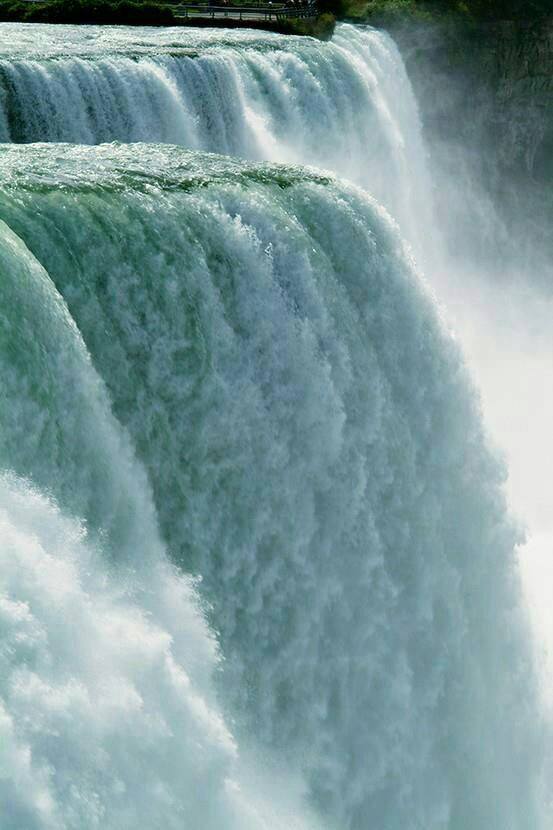 1900115_10203114036682887_279752903_n