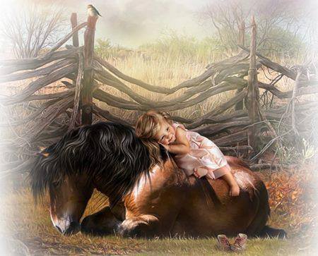 1901578_648269621903205_612045257_n