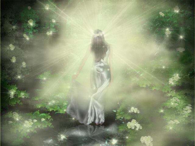 1913484_10203083129259766_339358818_o