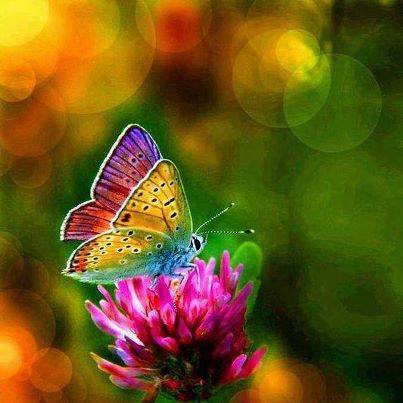 1947825_10201009241753233_1000209663_n