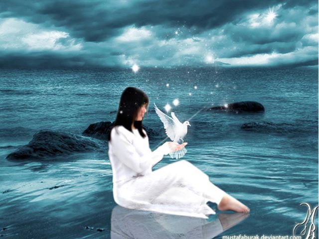 21356_545760795483431_1138815511_n