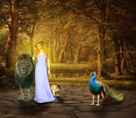 253295_516711418392360_633004914_n