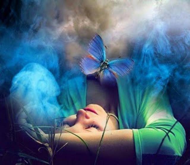 297863_221057077954108_100001494523630_651269_1754006477_n