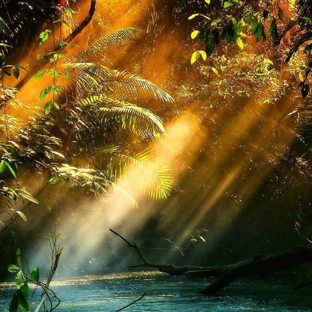 380311_243231859071198_23551237650