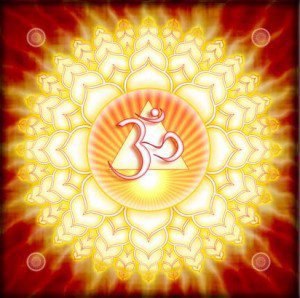 395236_10152096068325523_1202250018_n