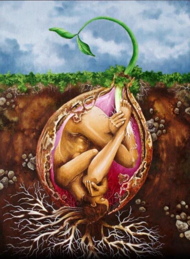 525959_343199532402644_146664945389438_861323_324979406_n