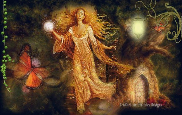 538243_319855744801236_696903386_n