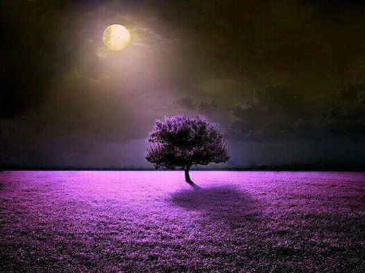 564688_300998253373448_667229154_n