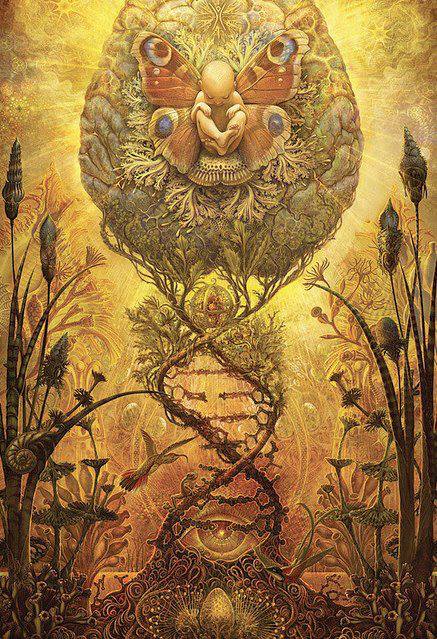 58143_697279786955916_1570942030_n