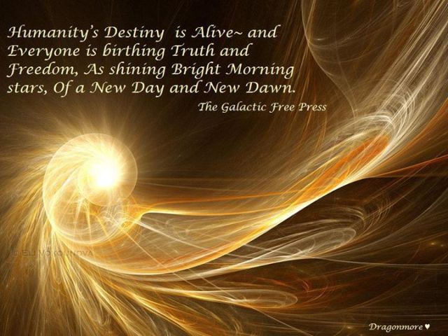 582625_445612988838667_49381087_n