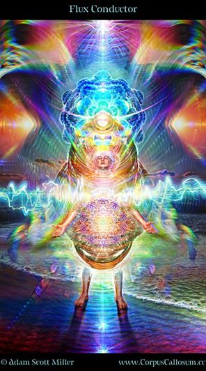 601523_627929707224135_236681437_n