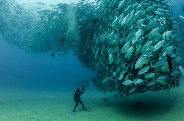 62925_152490771570771_489454871_n