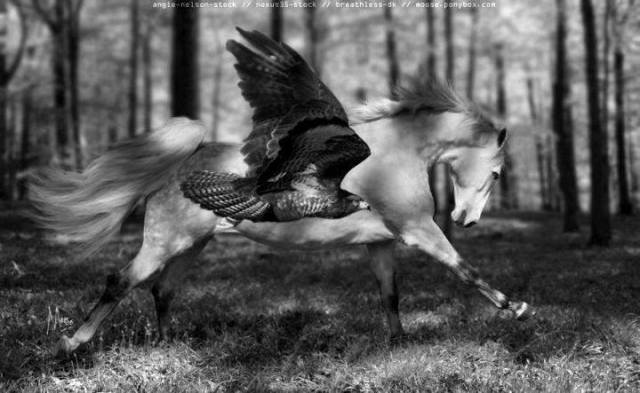 67572_496198223833653_1890745555_n