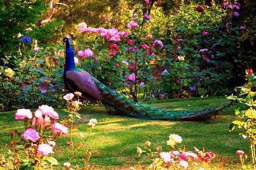 67778_1397108970509514_338382048_n