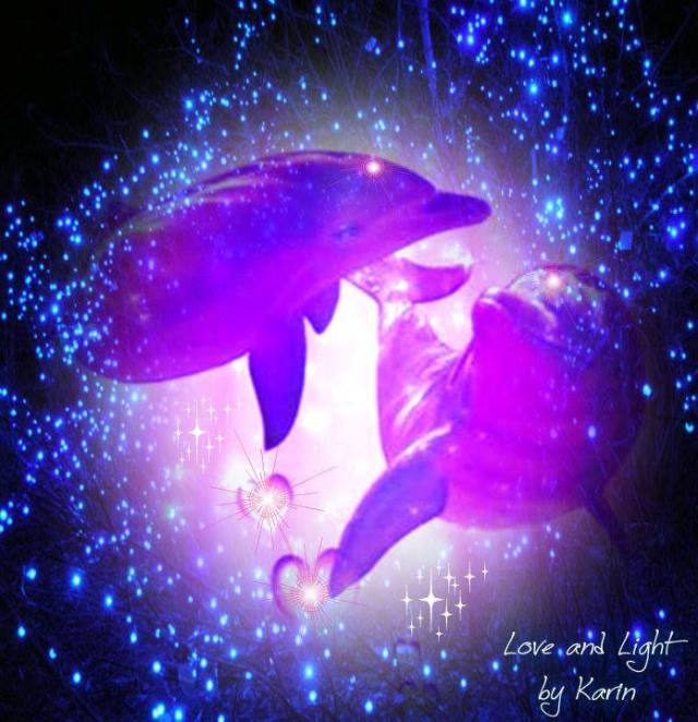 923082_10203114138565434_1438776558_n