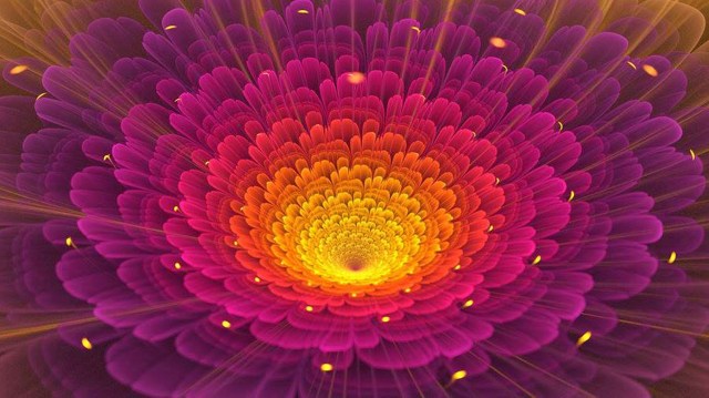 945049_505617436160395_75344333_n