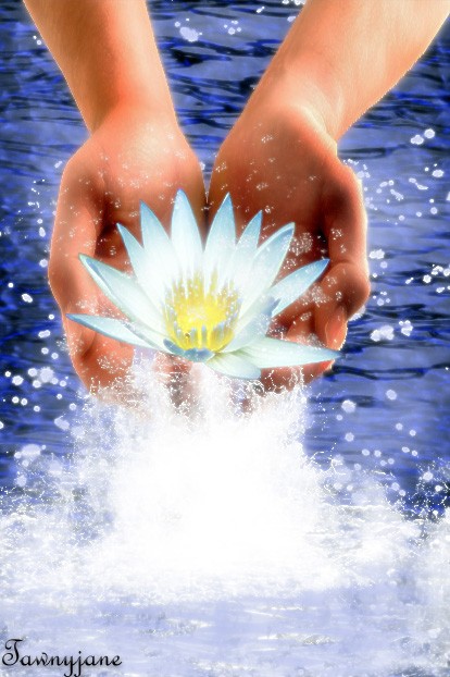 992859_534129629983872_117314441_n