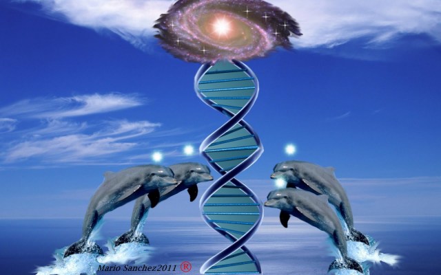 adn delfines y seres de sirio33