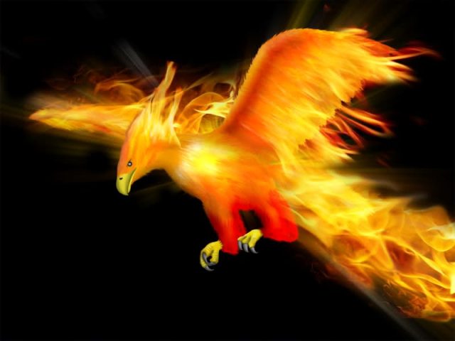 ave fenix