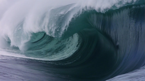 tumblr_lxsh4t8H0L1qecksso1_500