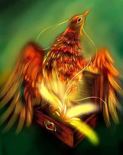 10001565_660319477364356_444055517_n