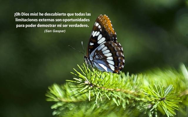 10010779_275584785940951_12809802_o