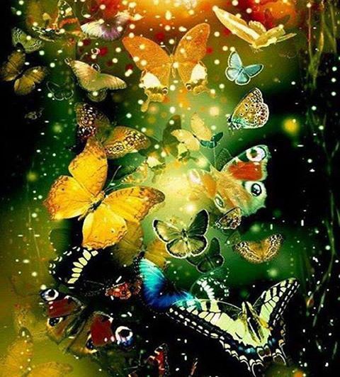 1006112_431527700288108_502579446_n