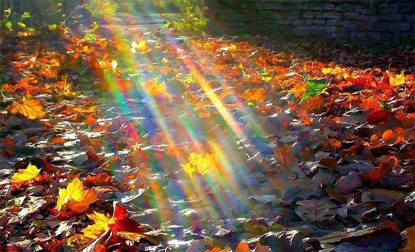 1010096_254765984701492_2017239598_n