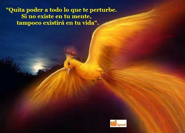 1011761_595422913875646_793778546_n