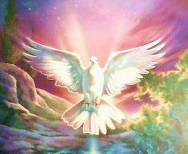 1014236_10201893129400465_1714505306_n