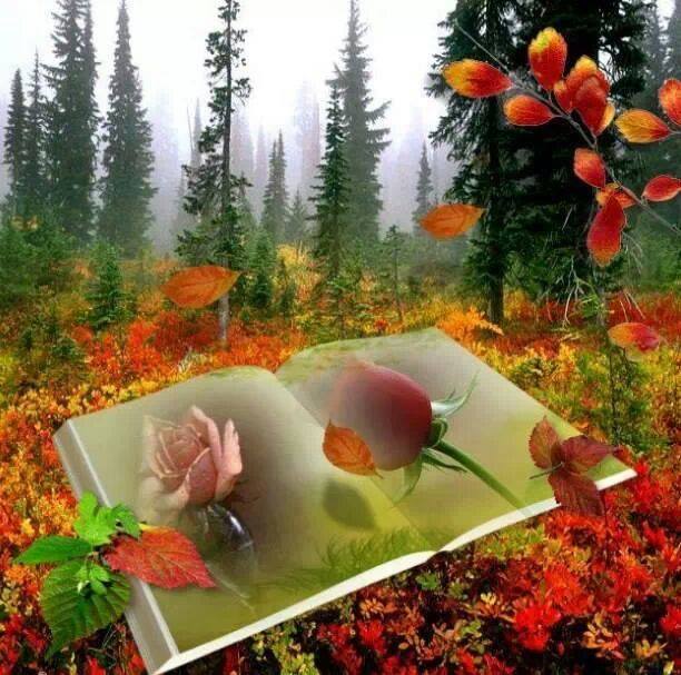 10152638_247361768782623_680230908_n