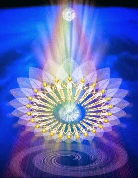 1237179_552554001478344_1819717991_n