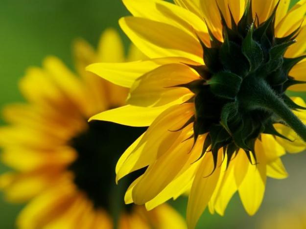 1268231374_79739942_1-Fotos-de--TALLER-HOOPONOPONO