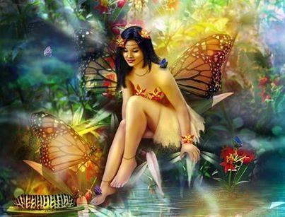 1432_678940325506838_1436391956_n