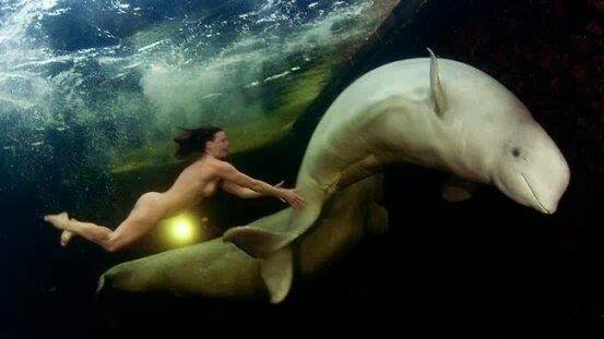 1439_10200801095735204_1995388373_n