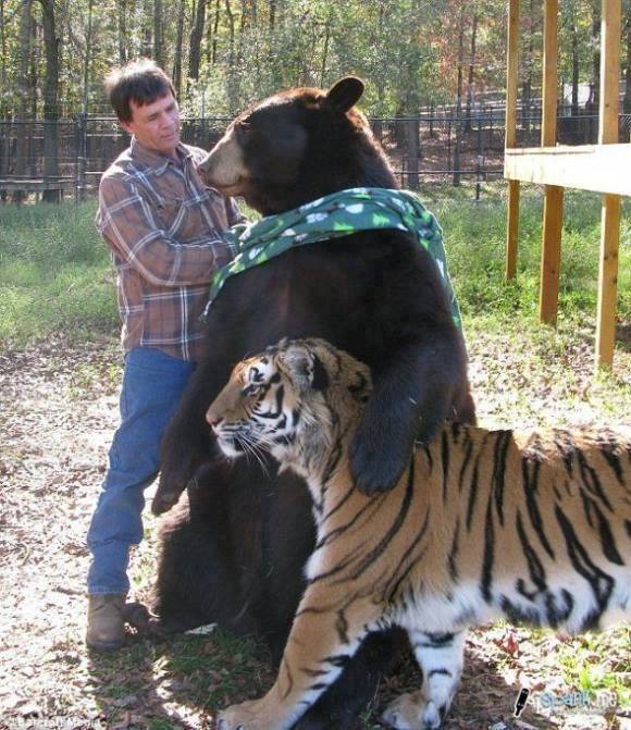 1466248_669208703109447_1019143989_n